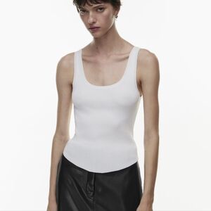 Aritzia Babaton Gallatin Tank